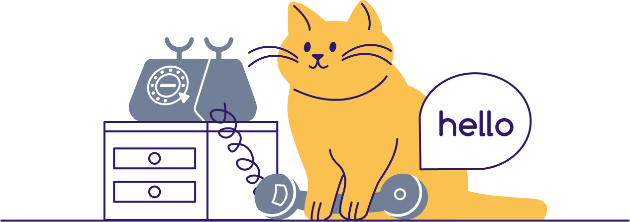 cat holding the phone image